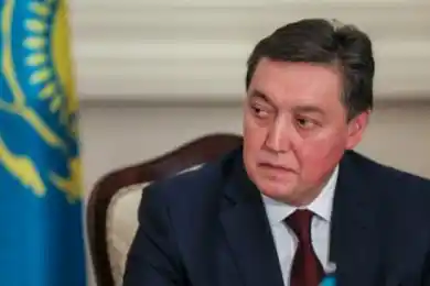 «Работа должна кипеть»: Мамин поручил акимам активно решать антикризисные задачи