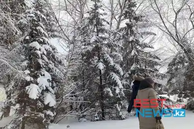 Новая волна холода идет на Казахстан