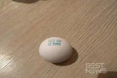 Самое дорогое яйцо и молоко в Алматы - Комитет торговли