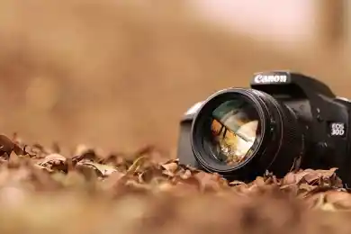 Праздники и события на 12 июля