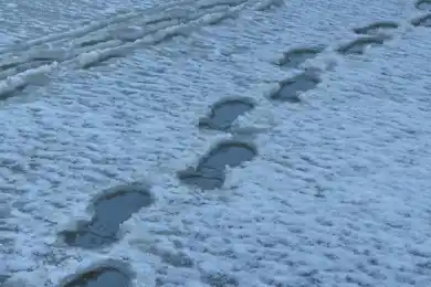 Жителей Алматы предупредили о проливных дождях