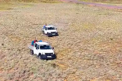 В Шалкаре началась борьба против итальянской саранчи