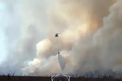 «Годами камыш собирается»: глава МЧС объяснил частое горение камыша близ Атырау