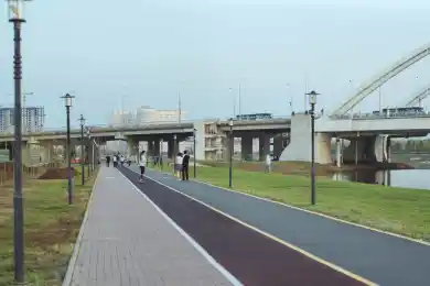 Бакауов ответил, снесут ли в Павлодаре 5000 деревьев для строительства триатлонной базы 