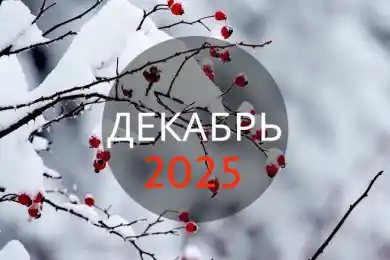 Что изменится в Казахстане в декабре 2025 года