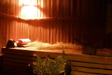 Попались в бане: в Семее полицейского начальника уволили за посиделки с подчиненными