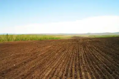 80 тысяч землепользователей: сколько занятой в Казахстане земли и кто ею владеет 