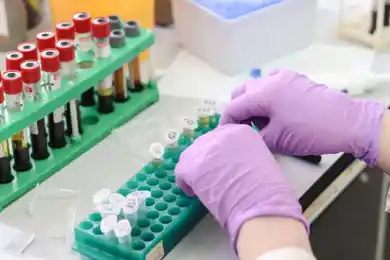 12 человек заразились коронавирусом в Кызылординской области