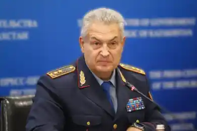 «Мягкое наказания для оскорбившей матерей блогерши»: что говорят в МВД Казахстана  