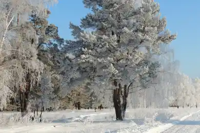 Погода по Казахстану на 12 февраля