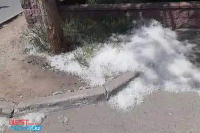 Нур-Султан запорошило тополиным пухом – фото