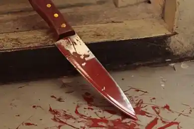 Жена ранила мужа ножом в Восточно-Казахстанской области, ей грозит тюремный срок