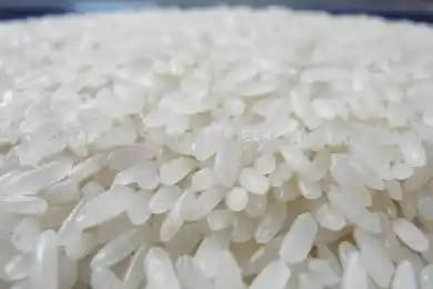 Виноваты соседние страны: министр Султанов объяснил подорожание риса и гречки в РК