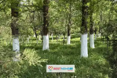 В Астане заморозки, в Алматы дождь. Погода на три дня