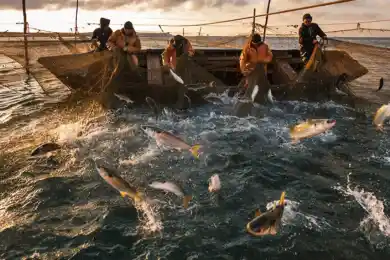 Ежегодно в Казахстане вылавливается до 45 тысяч тонн рыбы – Брекешев