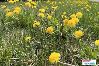 Неустойчивую погоду прогнозирует «Казгидромет» на выходные