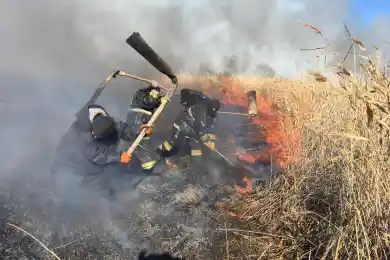 Под Атырау 5 дней горел камыш – пожар ликвидирован. Фото, видео
