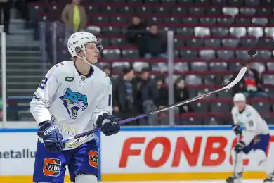 Прямой эфир матча Торпедо-Барыс в чемпионате КХЛ