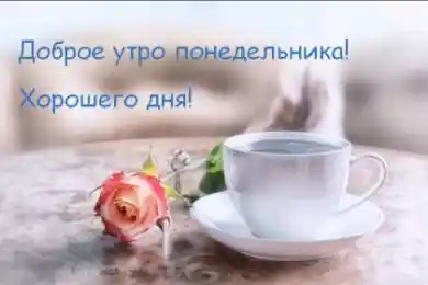 Желаем доброго начала новой недели!