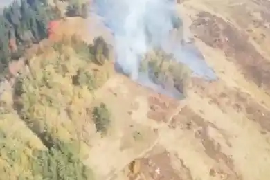 На Кок-Жайлау близ Алматы горит сухостой