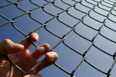 Мажилис взял в работу законопроект "Об амнистии"