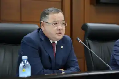 Подпадает ли под закон о возврате государству незаконно приобретенных активов имущество членов семьи Нурсултана Назарбаева