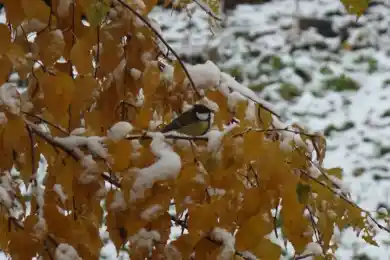 Осадки ожидаются 9 ноября в Казахстане