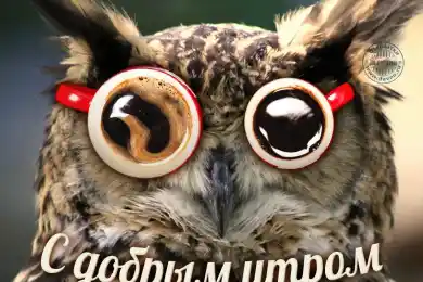 Bestnews.kz напоминает - пятница пришла