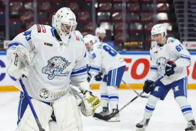 Михайлис оценил дебют Шутова: "Это и его победа тоже"