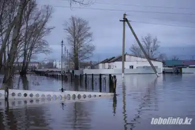 Правительство выделит 1,3 млрд тенге на восстановление линий электропередачи в Костанайской области