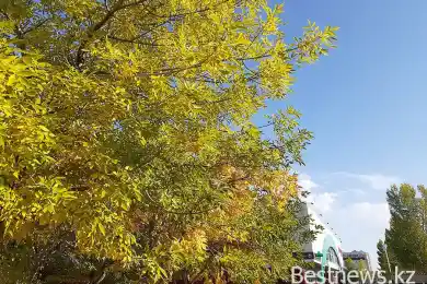 Когда казахстанцев согреет «бабье лето» - прогноз