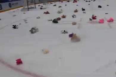 Зрители устроили мишкопад после матча Барыс-СЮ