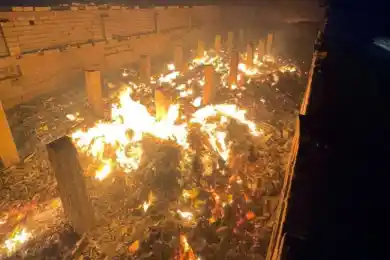 В Туркестанской области 1 150 овец заживо сгорели на пожаре - видео