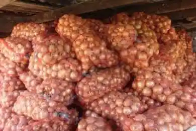 Минторговли Казахстана организует закуп плодоовощной продукции в соседних странах