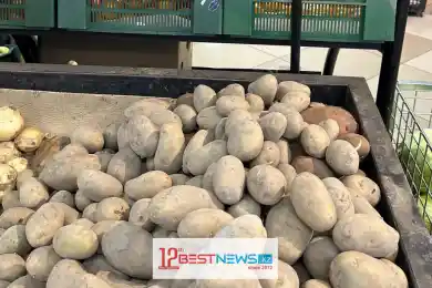 Жумангарин объяснил причины дороговизны картофеля в Казахстане