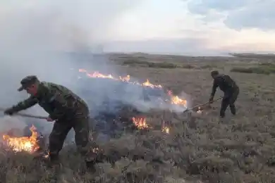 Горящие выходные: два человека погибло, пало 210 голов скота в Карагандинской области