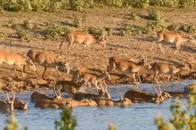 Казахстан сделает подарок для КНР 