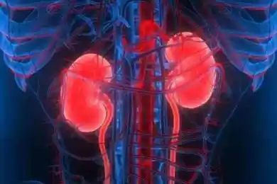 На юге Казахстана мужчина выставил свою почку за 13 млн тенге