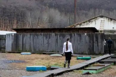 Мырзахметов: в 260 школах Жамбылской области туалеты находятся на улице