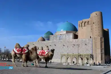 Туркестанская область вышла из «красной» зоны по коронавирусу