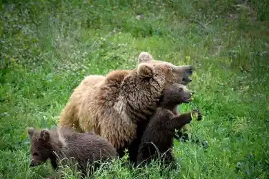 Зоопарк Алматы побил рекорд по посещаемости