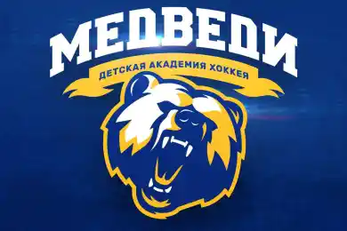 В Мажилисе вступились за детей, чьи родители пожаловались на подорожавший хоккей в Алматы 