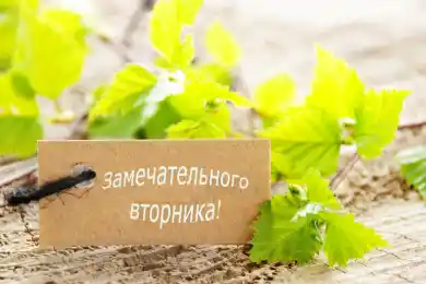 Bestnews.kz желает удачного вторника!