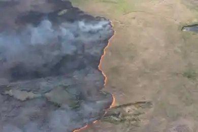 В МЧС назвали причину 2-дневного пожара близ Нур-Султана