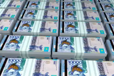 Бывший чиновник акимата СКО подозревается в отмывании 286,5 млн тенге