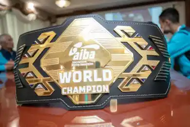 В Минкультуры и спорта Казахстана премировали боксёров за медали с ЧМ