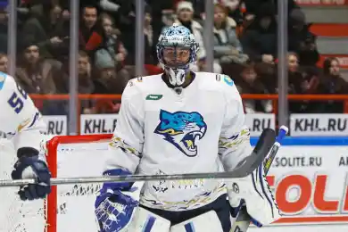 Гудачек снова сыграет в воротах в матче против «Амура»