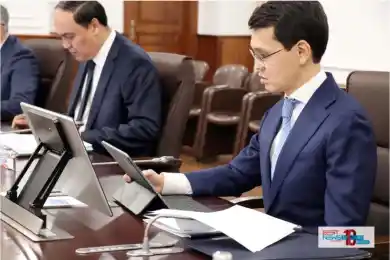 Багдата Мусина отправили в отставку