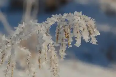 Погода по Казахстану на 15 ноября