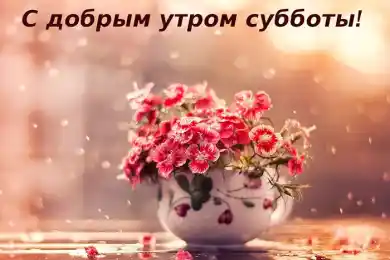 Желаем великолепной субботы!